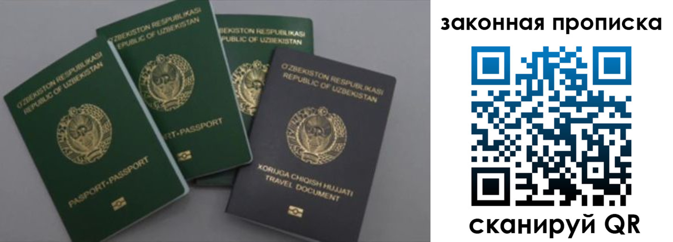 прописка законно в Беломорске